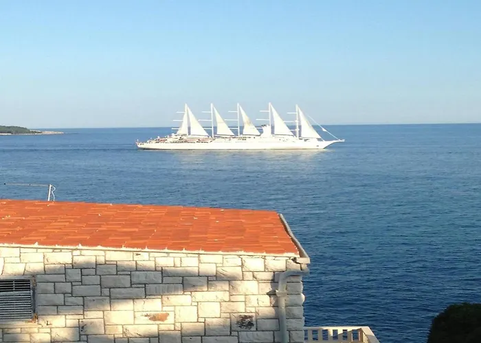 Paco דוברובניק